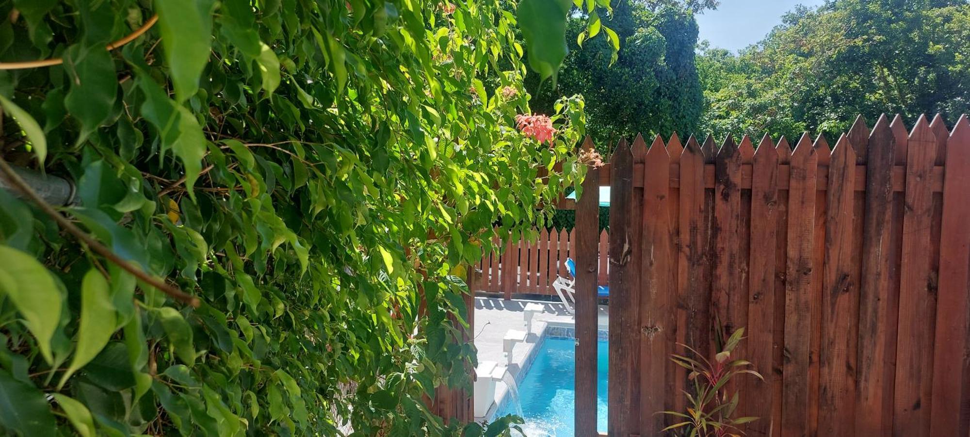 Apartment Joanna Rodney Bay المظهر الخارجي الصورة