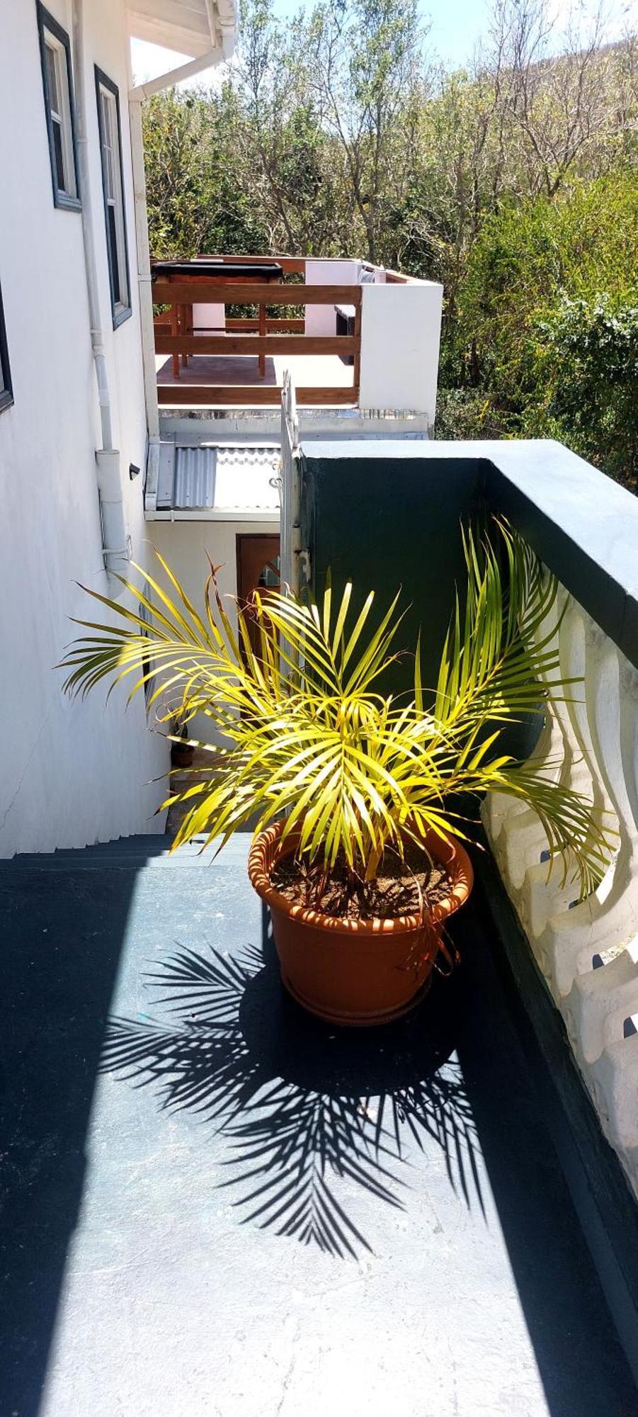 Apartment Joanna Rodney Bay الغرفة الصورة